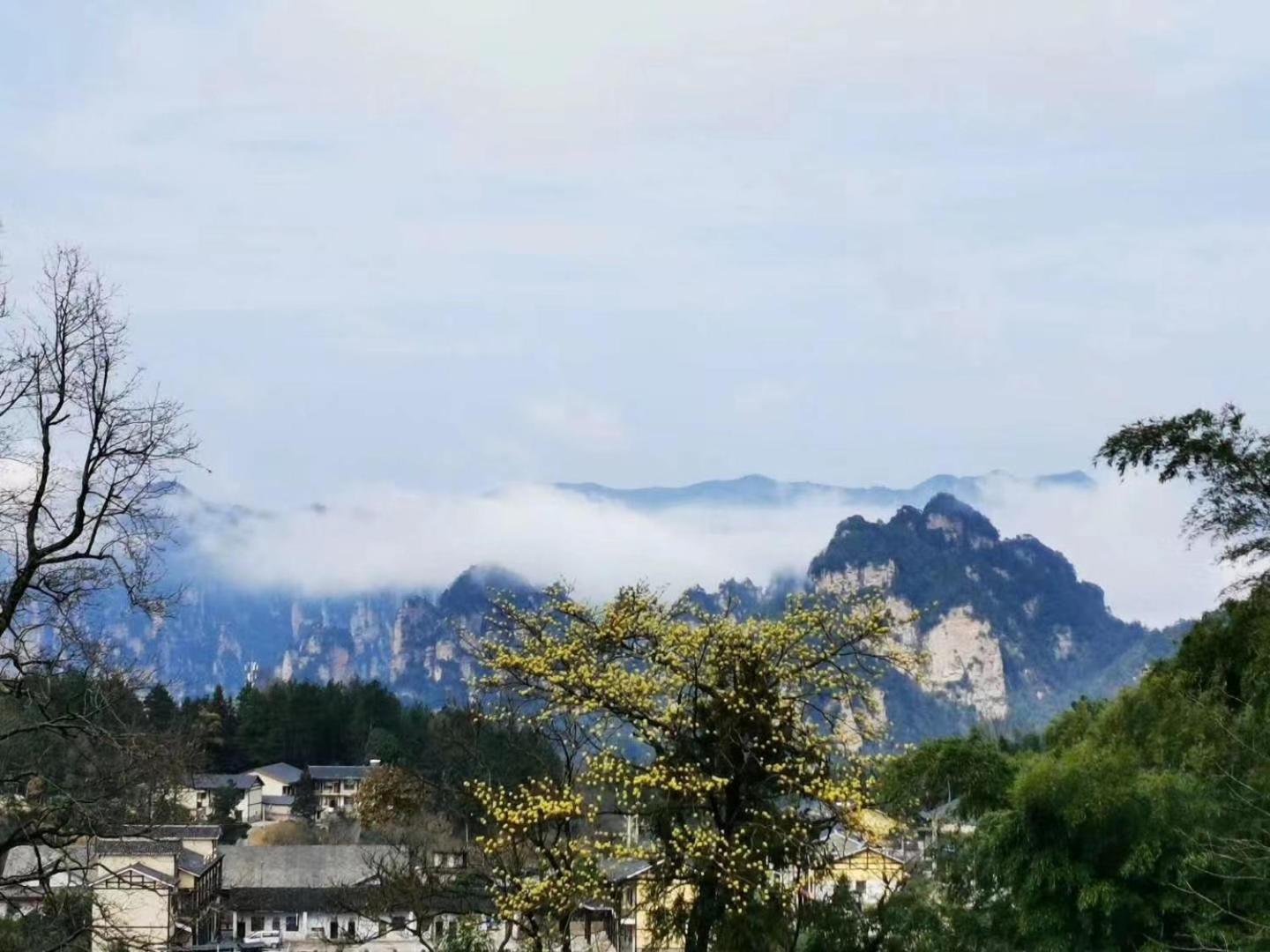 Avatar Mountain Resort Zhangjiajie Exterior foto